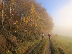 Aufstieg vom Blindbach nach Weitgraben, © OEAV Ortsgruppe Blindenmarkt