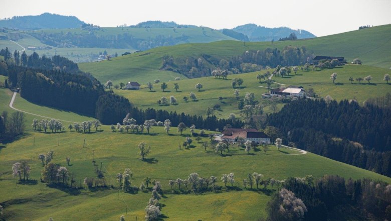 Fotopunkt Mostviertel, &copy; schwarz-koenig.at