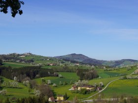 Panoramablick am Trefflingblickweg, © Marktgemeinde Seitenstetten
