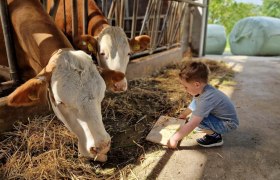 Milchliebe, Wegbauernhof, © Helen Brandstetter