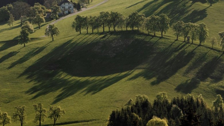 Fotopunkt Moos, © schwarz-koenig.at