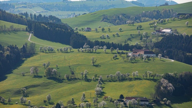 Fotopunkt Mostviertel, &copy; schwarz-koenig.at