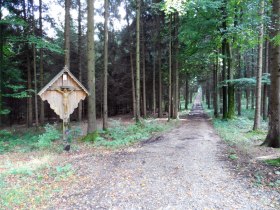 Der Salaberger Wald, © Mostviertel - OÖ Mariazellerweg