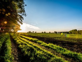 Abendsonne am Mostobstwanderweg, © Sträußl-Sträussl Markus