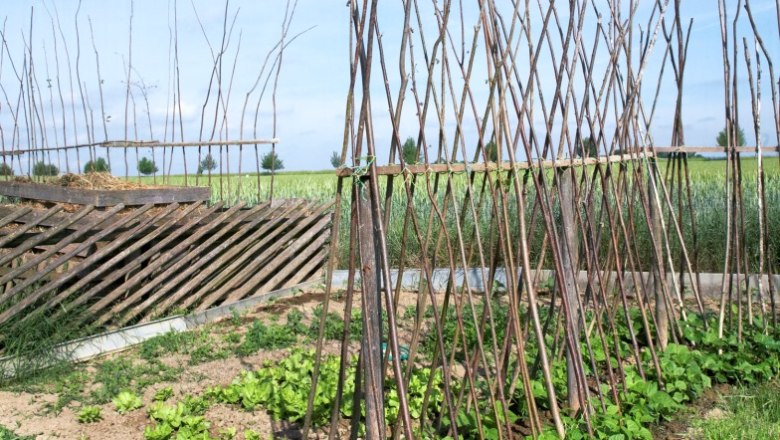Ein Garten mit Holzgestellen für Kletterpflanzen und grünem Gemüse im Vordergrund.