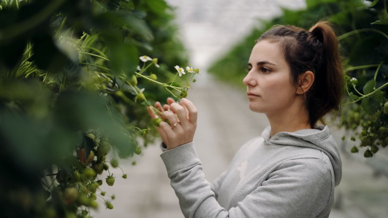 Lehners Beerenstadl, © Moststraße, dochbodnliacht