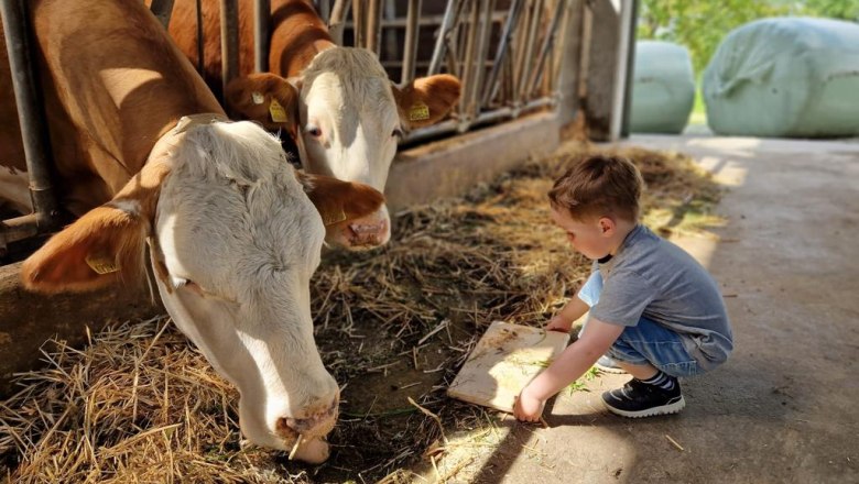 Milchliebe, Wegbauernhof, &copy; Helen Brandstetter