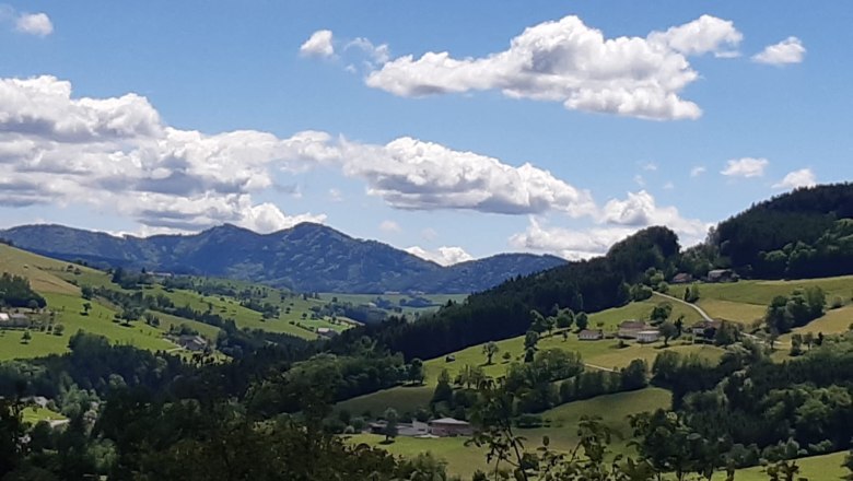 Urlaub am Nussbaumerhof, &copy; Strei&szlig;lberger Josef und Monika