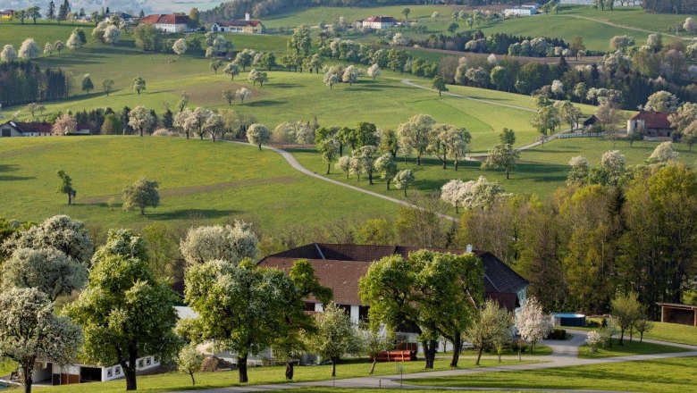 Fotopunkt Sanfte Hügel, © schwarz-koenig.at