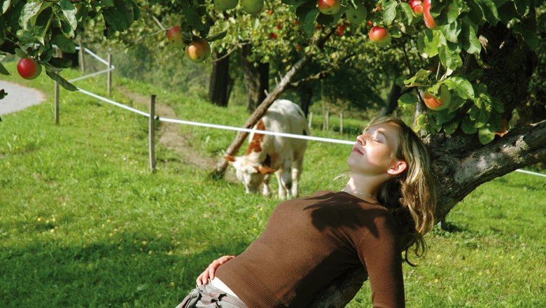 Entspannen am Nussbaumerhof, &copy; Strei&szlig;lberger Josef und Monika