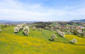 Fotopunkt Wachtberg Richtung St. Veit, © schwarz-koenig.at