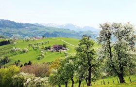 Blick von Ertl auf die Voralpen, © weinfranz.at