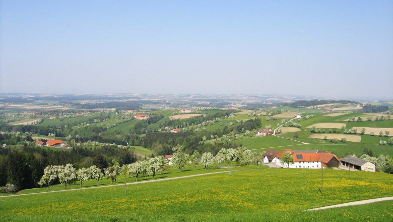 Aussichtspunkt "Mostviertel-Blick", © Gemeinde Behamberg