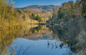 Ein ruhiger See mit Wald und Hügeln im Hintergrund, reflektiert im Wasser.