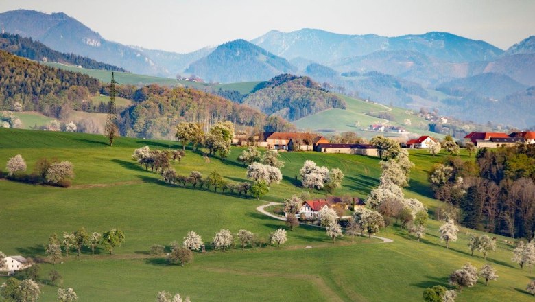 Fotopunkt Karl Lammerhuber Blick, © schwarz-koenig.at