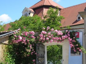 Am Via Rosa Themenweg Seitenstetten, &copy; Nefischer Peter