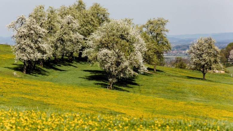 Fotopunkt Wachtberg Richtung St. Veit, © schwarz-koenig.at