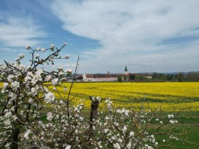 Am Weg rund ums Stift, © Marktgemeinde Seitenstetten