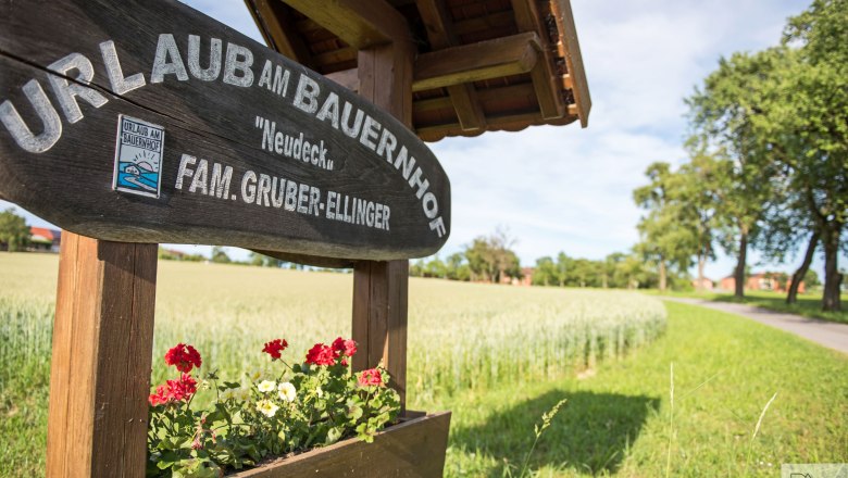 Hofzufahrt, &copy; Daniela Adelberger