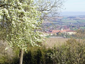 Trefflingblickweg, © Marktgemeinde Seitenstetten