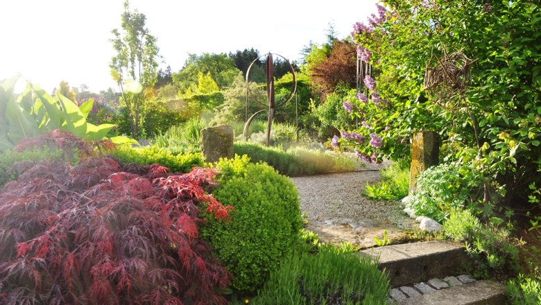 Ein sonniger Garten mit bunten Pflanzen und einem Kiesweg.