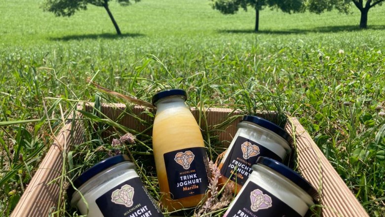 Milchliebe, Wegbauernhof, &copy; Helen Brandstetter