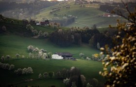 Fotopunkt St. Michael S&uuml;d, &copy; schwarz-koenig.at