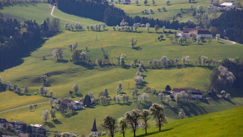 Fotopunkt Mostviertel, &copy; schwarz-koenig.at