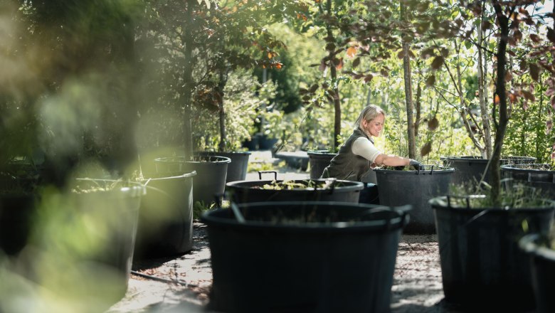 Starkl Erlebnisgarten, &copy; Moststra&szlig;e, dochbodnliacht