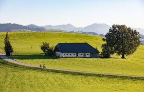 Radeln an der Moststra&szlig;e, &copy; Mostviertel Tourismus, schwarz-koenig.at