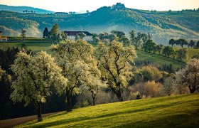 Karl-Lammerhuber-Blick-Weg, &copy; Mostviertel Tourismus / schwarz-koenig.at