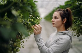 Lehners Beerenstadl, © Moststraße, dochbodnliacht
