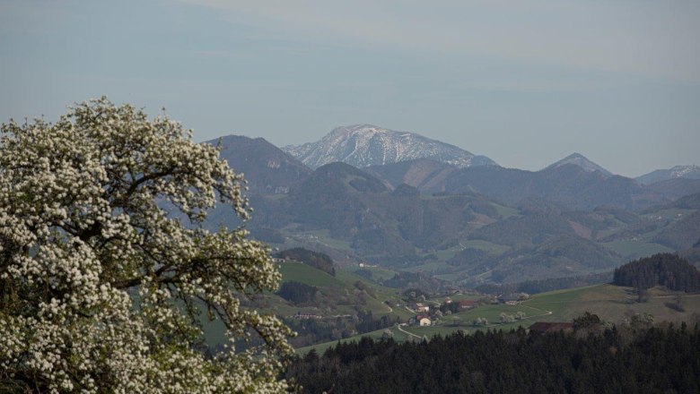 Fotopunkt Ötscher, © schwarz-koenig.at