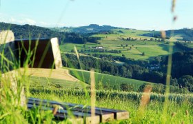 startfoto_koenigshufenweg, &copy; Gemeinde Neuhofen/Ybbs