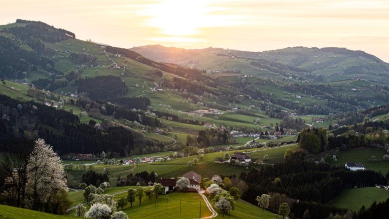 Fotopunkt St. Peter in der Au, &copy; schwarz-koenig.at