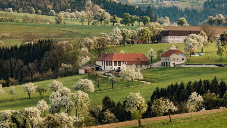 Fotopunkt Karl Lammerhuber Blick Südosten, © schwarz-koenig.at