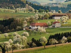 Karl-Lammerhuber-Blick-Weg, &copy; Mostviertel Tourismus / schwarz-koenig.at