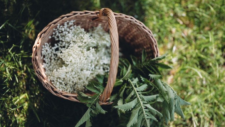 Kräutergarten Wohlbehagen, © Moststraße, dochbodnliacht