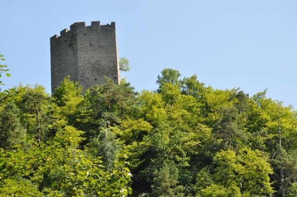 Mittelalterlicher Burgturm ragt über grünem Wald empor, blauer Himmel., © Marktgemeinde Neustadtl an der Donau