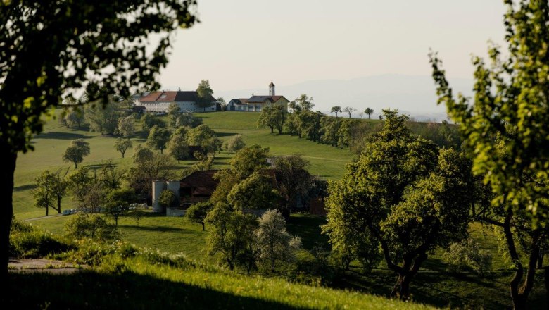 Fotopunkt Moos, &copy; schwarz-koenig.at