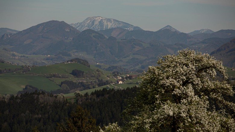 Fotopunkt Ötscher, © schwarz-koenig.at