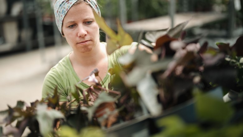 Starkl Erlebnisgarten, &copy; Moststra&szlig;e, dochbodnliacht