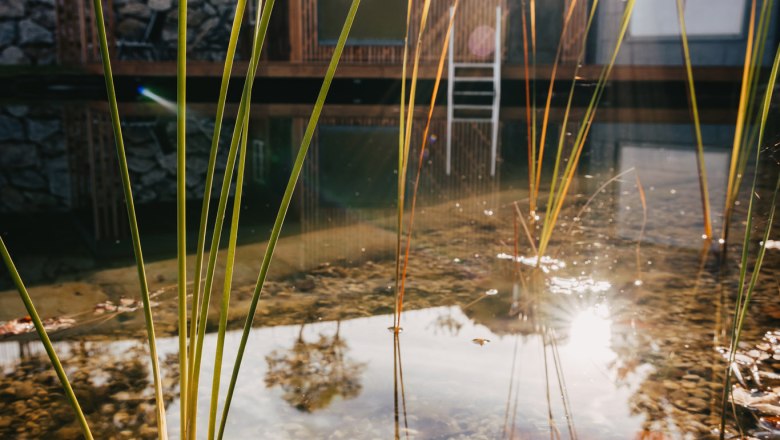 Waldjuwel Mostviertel, &copy; Sabine Wieser Fotografie