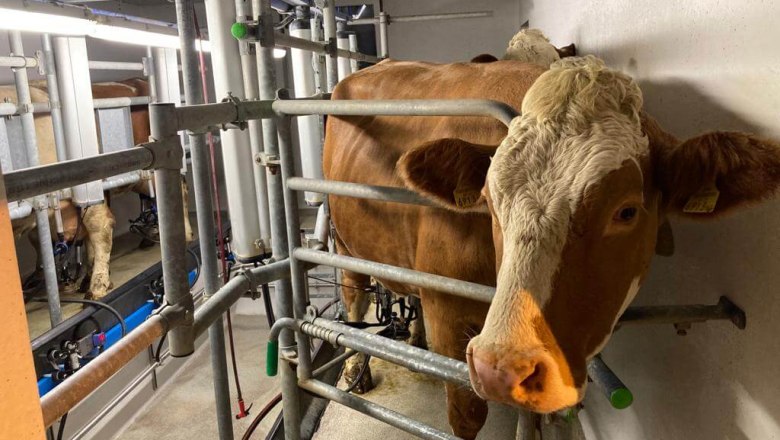 Milchliebe, Wegbauernhof, &copy; Helen Brandstetter