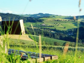 startfoto_koenigshufenweg, &copy; Gemeinde Neuhofen/Ybbs
