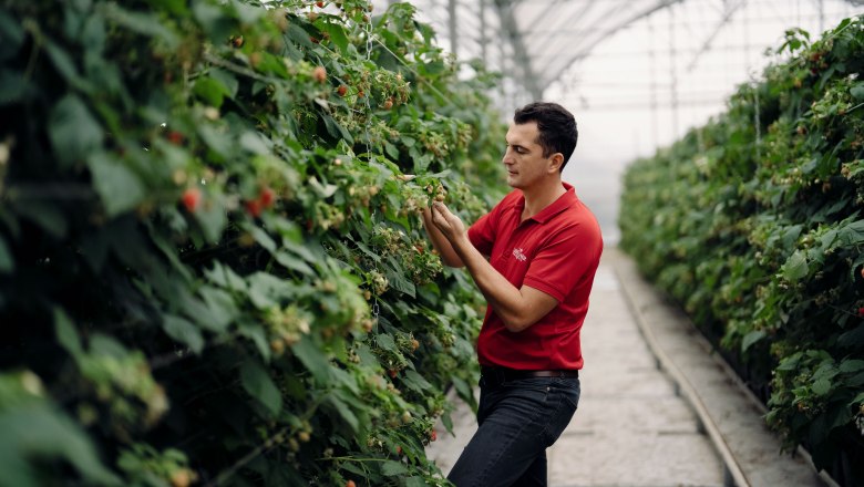 Lehners Beerenstadl, © Moststraße, dochbodnliacht